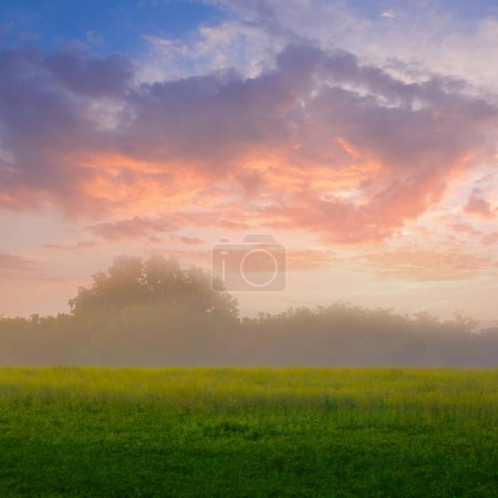 Photo for Green  field  in mist at the early morning - Royalty Free Image