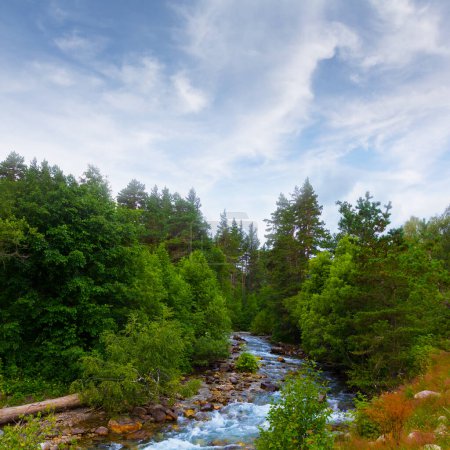 Photo for River rushing through mountain valley forest - Royalty Free Image