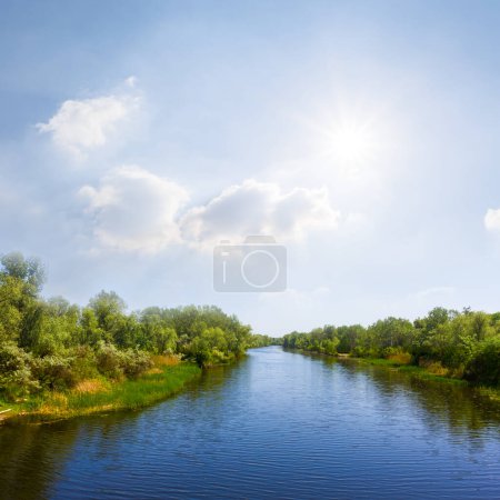 Photo for Calm summer river with forest on coast at sunny day - Royalty Free Image