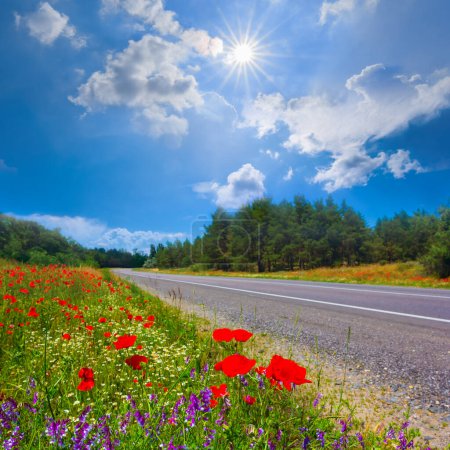 Photo for Long asphat road under a sparkle sun, summer transportation scene - Royalty Free Image
