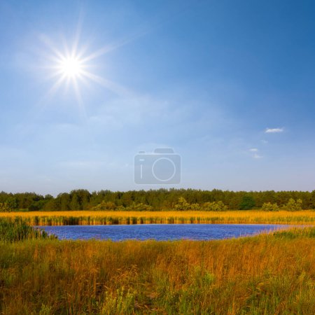 Photo for Small blue lake among prairie  at the summer sunny day - Royalty Free Image
