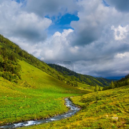 Photo for Small brook flow among green mountain valley under a cloudy sky - Royalty Free Image