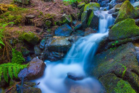 Photo for Small waterfall on mountain brook - Royalty Free Image