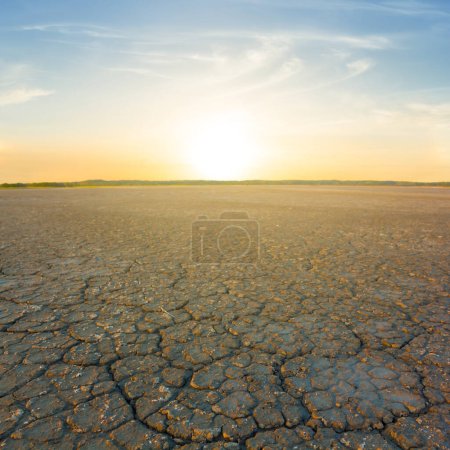 Photo for Dry cracked earch at the sunset - Royalty Free Image