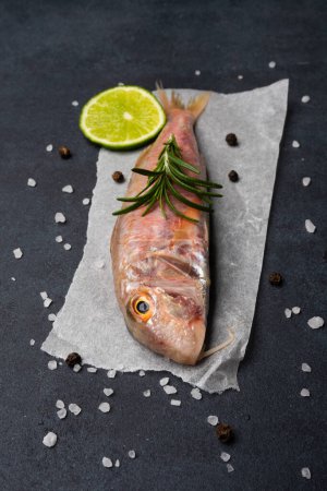 Photo for Red mullet on a black  background - Royalty Free Image