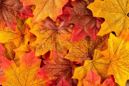 Herbstzeit und vergilbte Blätter auf hölzernem Hintergrund