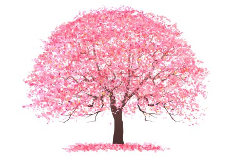 Illustration for Cherry blossom spring tree icon - Royalty Free Image