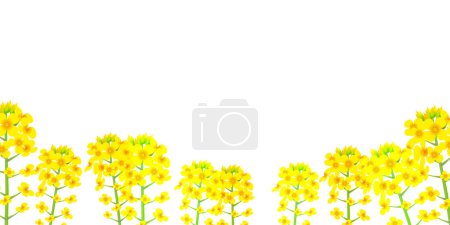 Téléchargez les illustrations : Rape blossom spring landscape background - en licence libre de droit