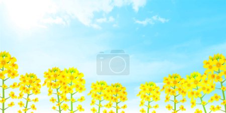 Téléchargez les illustrations : Viol fleur printemps paysage fond - en licence libre de droit