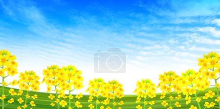 Ilustración de Rape blossom spring landscape background - Imagen libre de derechos