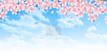 Illustration for Cherry Blossoms Landscape Spring Background - Royalty Free Image