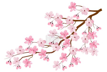 Illustration for Cherry Blossoms Spring Petals Background - Royalty Free Image