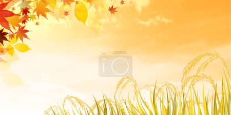 Rice Autumn Countryside Landscape Background