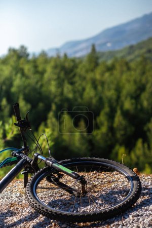 Téléchargez les photos : Un vélo de montagne couché au sommet d'une colline après une randonnée difficile, avec un arrière-plan flou où vous pouvez voir une forêt de pins. - en image libre de droit