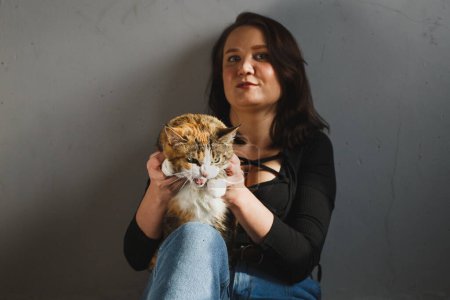 Téléchargez les photos : Sly chat roux couché sur les genoux des propriétaires à la maison, vue rapprochée. - en image libre de droit