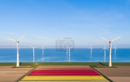 Téléchargez les photos : Vue aérienne des champs de tulipes et des éoliennes dans la municipalité de Noordoostpolder, Flevoland, Pays-Bas - en image libre de droit