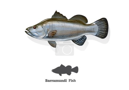 Téléchargez les illustrations : Barramundi poisson aquarelle croquis ligne art. illustration vectorielle - en licence libre de droit