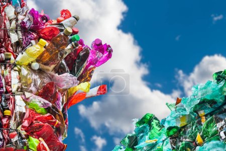 Foto de Plastic waste from used crumpled PET bottles in colored bales on blue sky background with white cloud. Closeup of empty crushed beverage packagings pressed in green or red packages. Garbage recycling. - Imagen libre de derechos
