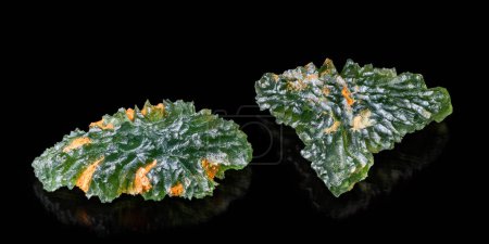 Zwei seltene Tektitminerale Moldawite von grüner runzeliger Oberfläche mit orangefarbenen Flecken. Nahaufnahme roher, ungeschliffener Edelsteine aus meteorischem Glas mit Reflexion auf schwarzem Hintergrund. Naturjuwel aus Südtschechien.