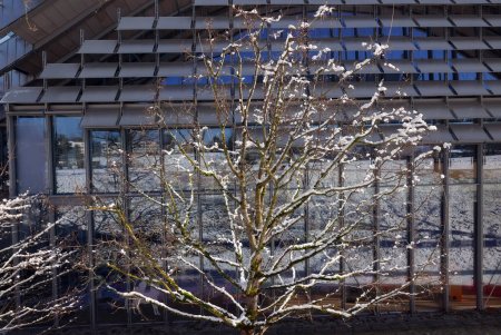 BERN, SWITZERLAND - JANUARY 20 2024:  Zentrum Paul Klee by architect Renzo Piano