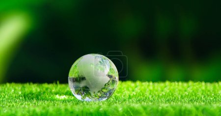 Téléchargez les photos : Glass globe in green forest with the icon environment of ESG, co2, circular company, and net zero. Technology Environment, Organization Sustainable development environmental. - en image libre de droit