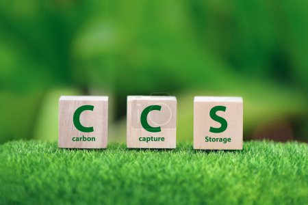 CCS Akronym für (Carbon Capture and Storage) auf Holzblöcken vor Umwelteinflüssen.