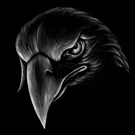 Illustration for The Vector logo eagle for tattoo or T-shirt design or outwear. Hunting style eagle background. This drawing is for black fabric or canvas. - Royalty Free Image