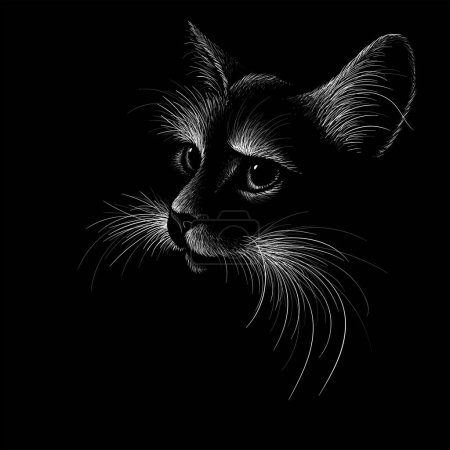 Téléchargez les illustrations : E chat logo vectoriel pour tatouage ou T-shirt ou vêtements. Mignon fond de chat de style imprimé. Ce dessin à la main serait agréable à faire sur le tissu noir ou toile. - en licence libre de droit