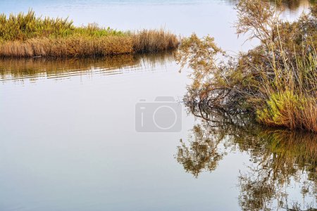 Photo for Sunset at the gialova lagoon. The gialova lagoon is one of the most important wetlands in Europe. Greece. - Royalty Free Image
