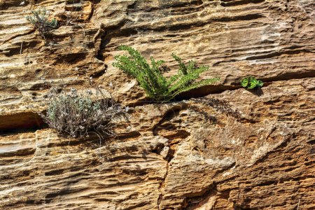 Natursteinoberfläche detaillierte Textur, Penteli-Gebirge, Griechenland.