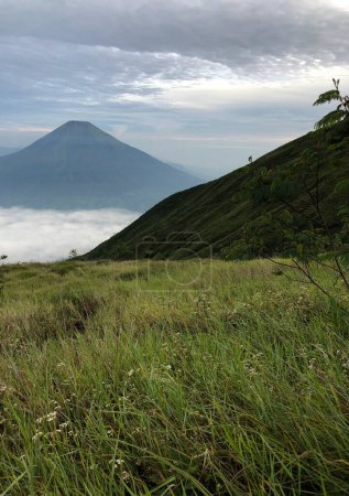 Téléchargez les photos : La vue depuis le sommet du mont Sindoro, avec le mont Sumbing à côté le matin - en image libre de droit