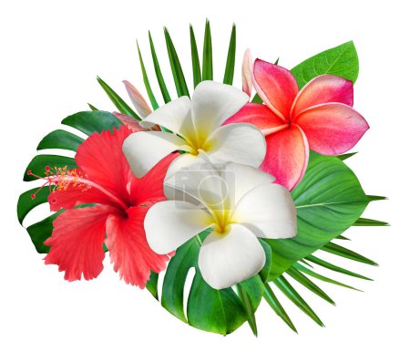 Tropical summer bouquet with frangipani flowers and hibiscus flower isolated on white background. Hawaiian style floral arrangement for greeting card, wedding, wallpaper 