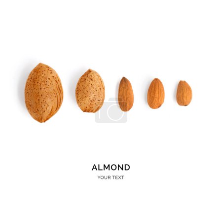 Photo for Creative layout made of almond. Flat lay. Food concept. - Royalty Free Image