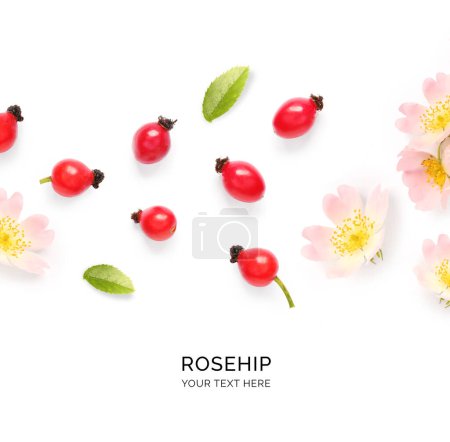 Photo for Creative layout made of rosehip and flowers on the white background. Flat lay. Food concept. Macro  concept. - Royalty Free Image