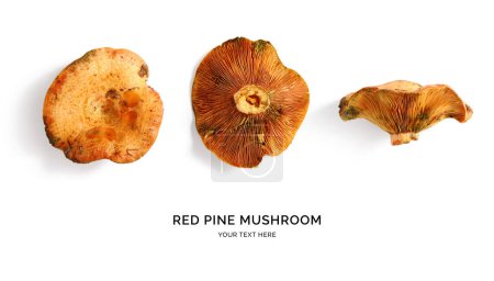Téléchargez les photos : Mise en page créative faite de champignons de pin rouge sur le fond blanc.. Pose plate. Concept alimentaire. - en image libre de droit