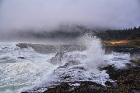 Cape Perpetua Crashing Waves and Tide Pools Oregon Vue sur le brouillard côtier près du puits de Thor et de la corne de ponte sur le sentier Captain Cook. États-Unis.