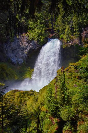 Foto de Sahalie Koosah Tamolitch cae en el río McKenzie, Williamette National Forest, Cascade Mountains, Oregon. Estados Unidos. - Imagen libre de derechos