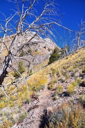Foto de Sendero de senderismo Deseret Peak Stansbury Mountains, by Oquirrh Mountains Rocky Mountains, Utah. Estados Unidos. - Imagen libre de derechos