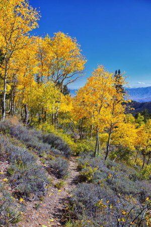 Deseret Peak Wanderweg Stansbury Mountains, bei den Oquirrh Mountains Rocky Mountains, Utah. Amerika.  