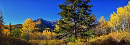 Timpanogos Peak back views hiking Bear Canyon Trail Wasatch Rocky Mountains, Utah. United States. mug #621081644