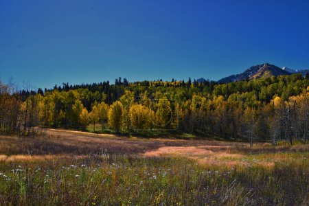 Foto de Timpanogos vista posterior desde sendero de senderismo, Willow Hollow Ridge, Pine Hollow Wasatch Rocky Mountains, Utah. Estados Unidos. - Imagen libre de derechos