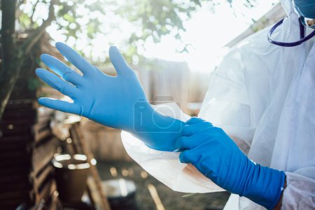 Ein Tierarzt zeigt, wie er blaue sterilisierte Handschuhe anzieht, sich auf einen Eingriff vorbereitet und die Präzision und Sauberkeit in der Tiergesundheit hervorhebt. Ärztliche Untersuchung der Tiere auf dem Bauernhof