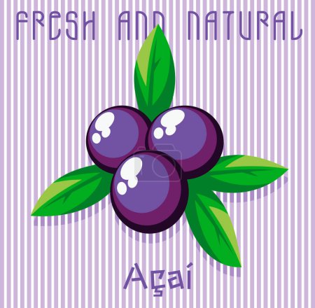 Illustration vectorielle de fruits d'açai dans un style graphique. Art avec composition avec texte et fond rayé.