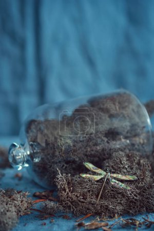 Overturned Glass Dome with Dragonfly Brooch and Moss. Iridescent dragonfly and a glass cloche filled with gray lichen on a blue fabric surface.