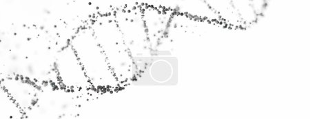 3D-Rendering einer DNA-Doppelhelix-Struktur mit Kugeln auf weißem Hintergrund mit Kopierraum. Genomsequenzierung, Molekularbiologie und genetische Datenanalyse