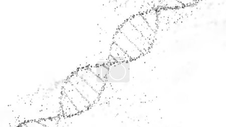 Téléchargez les photos : Reproduction 3D d'une structure à double hélice d'ADN avec sphères sur fond blanc avec espace de copie. Séquençage génomique, biologie moléculaire et analyse des données génétiques - en image libre de droit