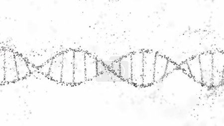 3D-Rendering einer DNA-Doppelhelix-Struktur mit Kugeln auf weißem Hintergrund mit Kopierraum. Genomsequenzierung, Molekularbiologie und genetische Datenanalyse