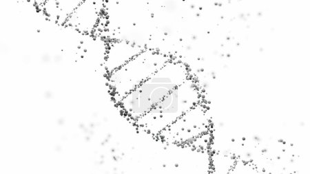 Representación 3D de una estructura de doble hélice de ADN con esferas sobre un fondo blanco con espacio de copia. Secuenciación genómica, biología molecular y análisis de datos genéticos