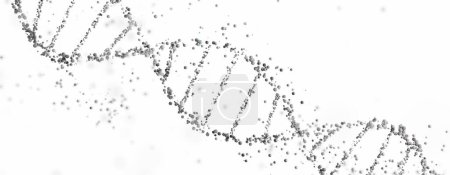 3D rendering of a DNA double helix structure with spheres on a white background with copy space. Genomic sequencing, molecular biology, and genetic data analysis