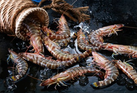 Photo for Fresh wild seafood ingredients, shrimps - Royalty Free Image
